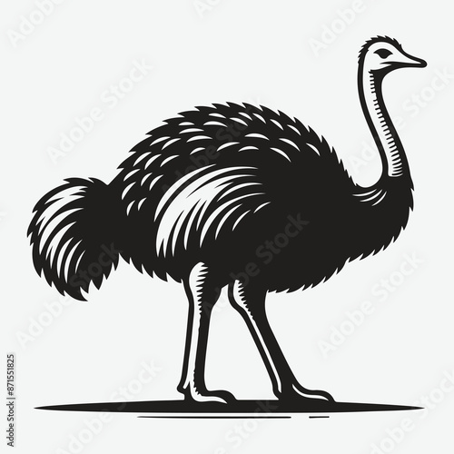 Majestic Ostrich Silhouette: Grace and Elegance in Profile photo