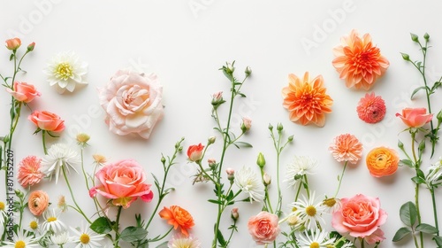Fototapeta Naklejka Na Ścianę i Meble -  Top view of rose and apricot colored flowers on white background with space for text