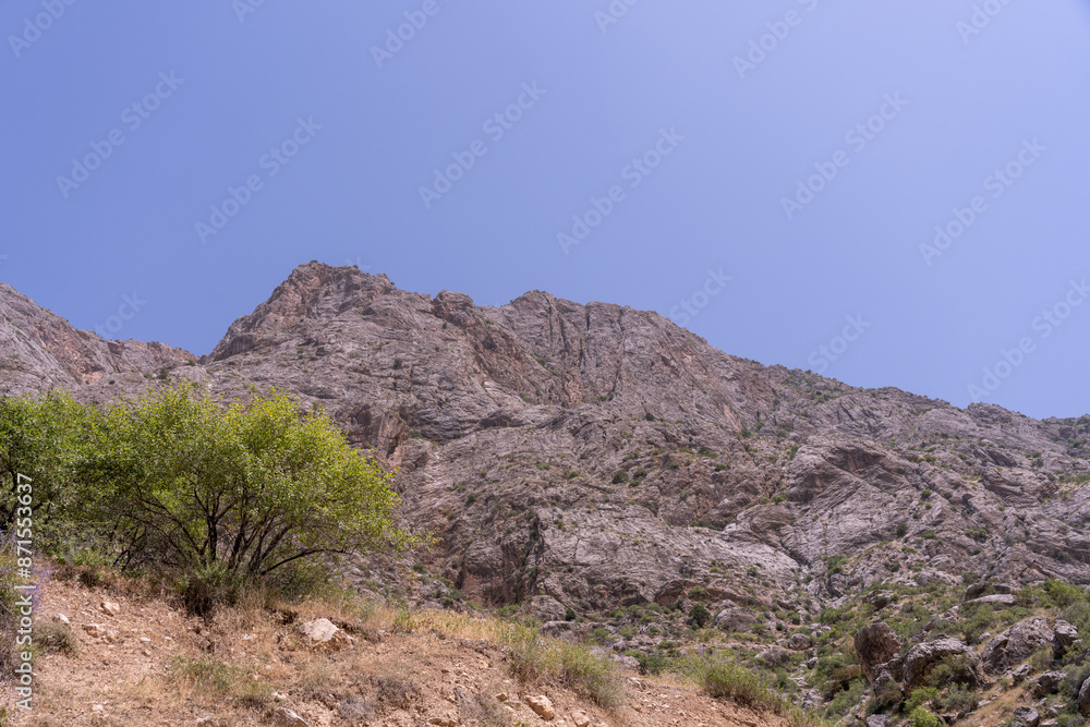 A mountain with a tree on it and a clear blue sky A mountain with a tree on it and a clear blue sky