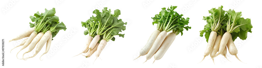 White daikon radishes with green leaves isolated on transparent background, crunchy spicy pungent Asian White daikon radishes with green leaves isolated on transparent background, crunchy spicy pungent Asian