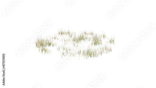 Round surface of Small Plant forest patch covered with flowers, green or dry grass and stone isolated on transparent background. Realistic natural element for design. Bright 3d