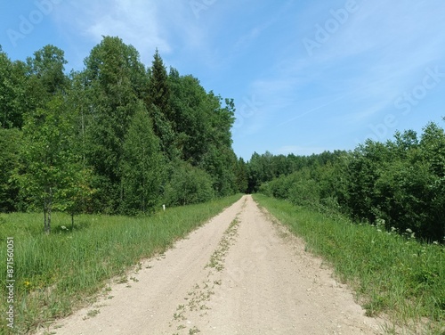 Road in forest in Siauliai county during sunny summer day. Oak and birch tree woodland. Sunny day with white clouds in blue sky. Bushes are growing in woods. Sandy road. Nature. Summer season. Miskas.