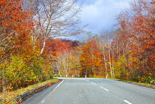 The road through Mt. kurikoma area geopark, Miyagi prefecture, Tohoku, Japan. photo