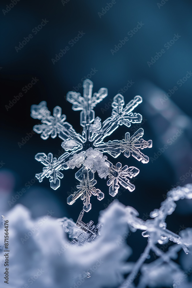 Close-up of a delicate snowflake on a dark blue background, highlighting its intricate crystalline structure. Close-up of a delicate snowflake on a dark blue background, highlighting its intricate crystalline structure.