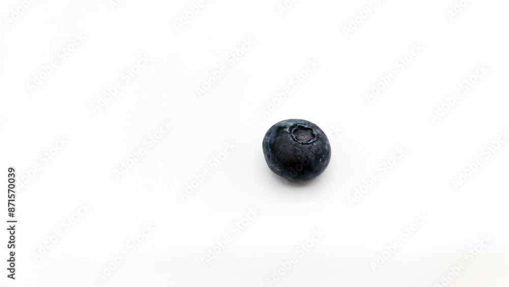 ブルーベリー/blueberry/블루베리 ブルーベリー/blueberry/블루베리