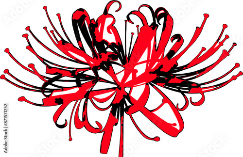higanbana or red spider lily flower in abstract art black and red color splashing style illustration 