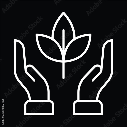 Hands Holding a Seedling