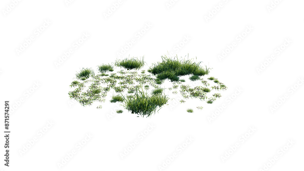 Fototapeta premium Round surface of Small Plant forest patch covered with flowers, green or dry grass and stone isolated on transparent background. Realistic natural element for design. Bright 3d