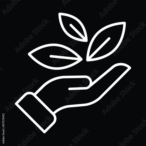 Hand Holding Three Leaves