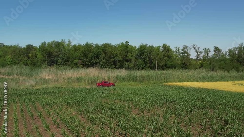 A red pickup truck drives quickly along a field with various crops.