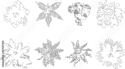 High detail architectural vector illustration of grass and fern, realistic drawing, sketch