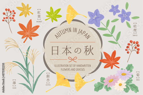 日本の秋の草花のイラストセット