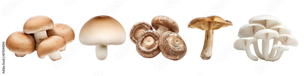 Mushrooms png cut out element set Mushrooms png cut out element set