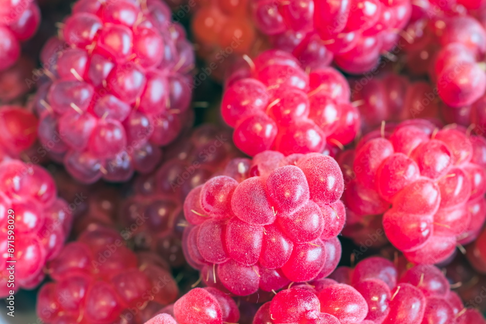 Closeup of vibrant raspberries, a colorful and antioxidantrich fruit, perfect for a healthy snack Closeup of vibrant raspberries, a colorful and antioxidantrich fruit, perfect for a healthy snack