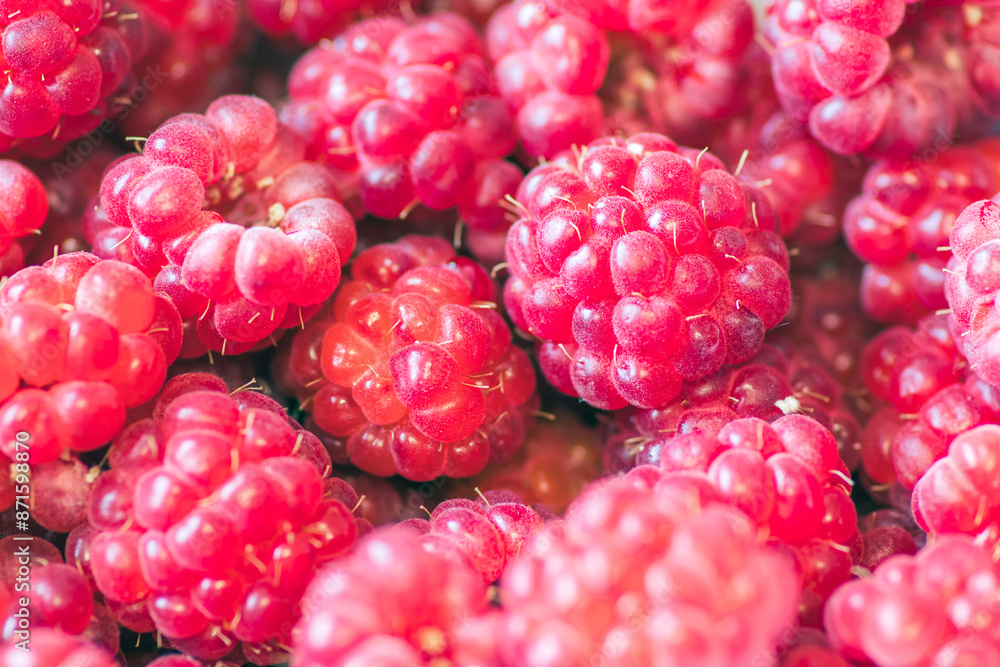 Closeup of vibrant raspberries, a colorful and antioxidantrich fruit, perfect for a healthy snack Closeup of vibrant raspberries, a colorful and antioxidantrich fruit, perfect for a healthy snack