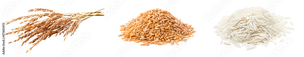 Rice wheat food agriculture png cut out element set Rice wheat food agriculture png cut out element set