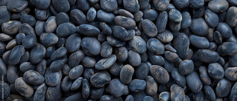 Panoramic close-up, high detail scan of navy bean material, Generative AI Panoramic close-up, high detail scan of navy bean material, Generative AI