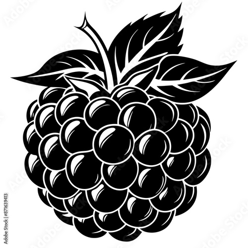 illustration of a blackberry