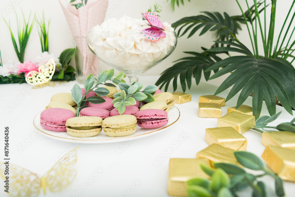 Macaroons on white plate on table Celebration concept Birthday with plants Macaroons on white plate on table Celebration concept Birthday with plants