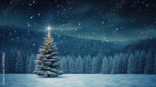 Snow covered christmas tree in winter forest with copy space at night