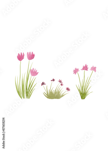 Wildflowers and grass. Watercolor plants, great design for any purpose. Decorative botanical set. Abstract floral silhouettes. Summer nature clipart. Simple sketch drawing. White background