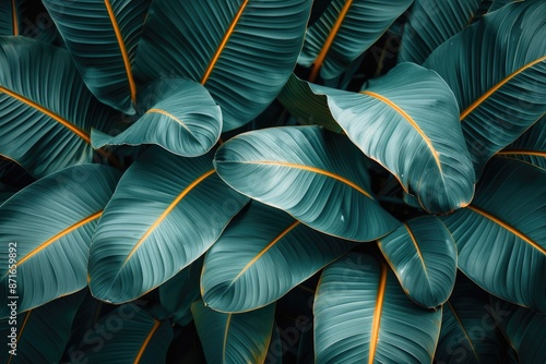 Wallpaper Mural colorful tropical leaves professional photography Torontodigital.ca