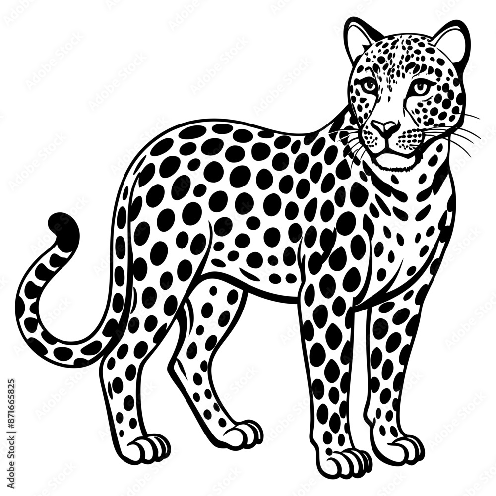 Fototapeta premium Leopard vector illustration, Leopard silhouette, Leopard vector art