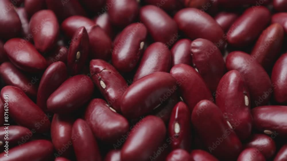 red kidney beans red kidney beans
