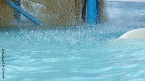 Wallpaper Mural Falling drops of water in a children's summer pool, close-up. Super slow motion. Torontodigital.ca