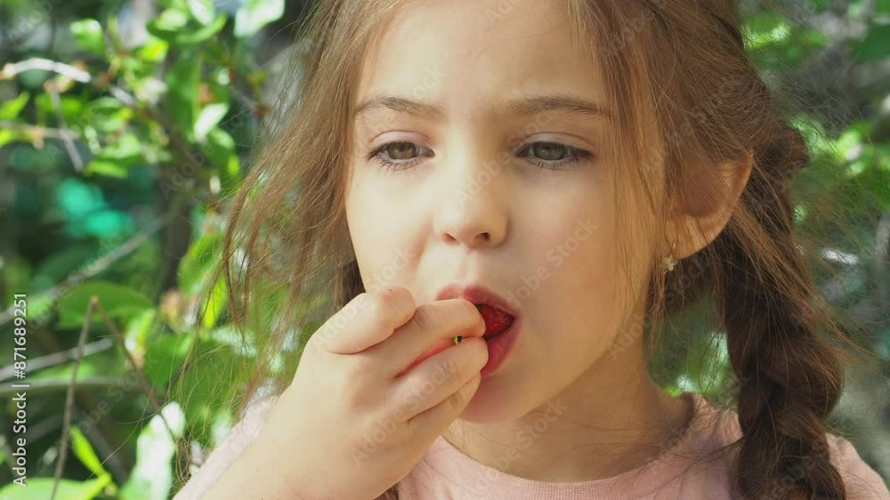 Cute girl tasting picked strawberries in the garden. Smiling girl holding strawberries in the garden. Happy child enjoying fresh picked strawberries in the garden Cute girl tasting picked strawberries in the garden. Smiling girl holding strawberries in the garden. Happy child enjoying fresh picked strawberries in the garden