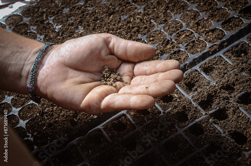 Agricultora sosteniendo semillas orgánicas en su mano
