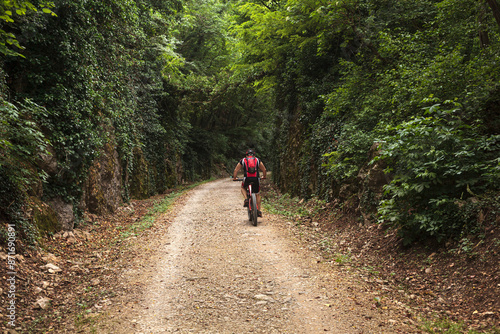 Cyclist on forest path © bepsphoto