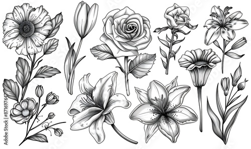 Wallpaper Mural Black and White Floral Collection Torontodigital.ca