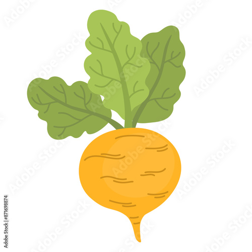 Fresh turnip with leaves. Icon of swede tuber with tops. Raw root vegetable. Flat vector illustration of natural veggie isolated on white background