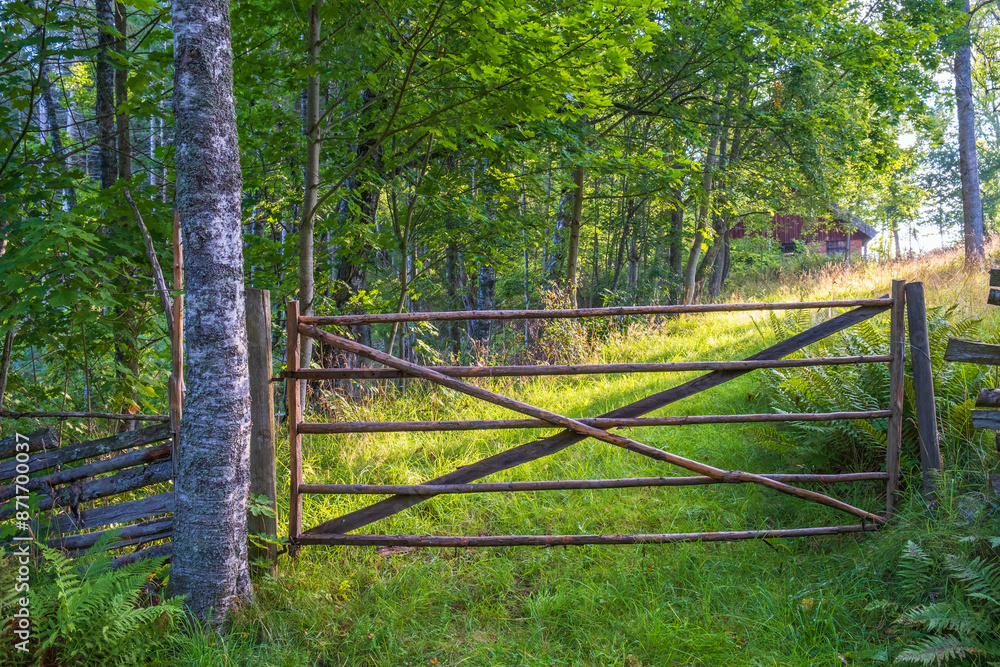 Wooden gate to a meadow Wooden gate to a meadow