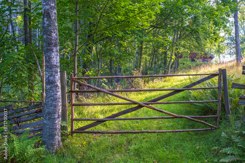 Wooden gate to a meadow