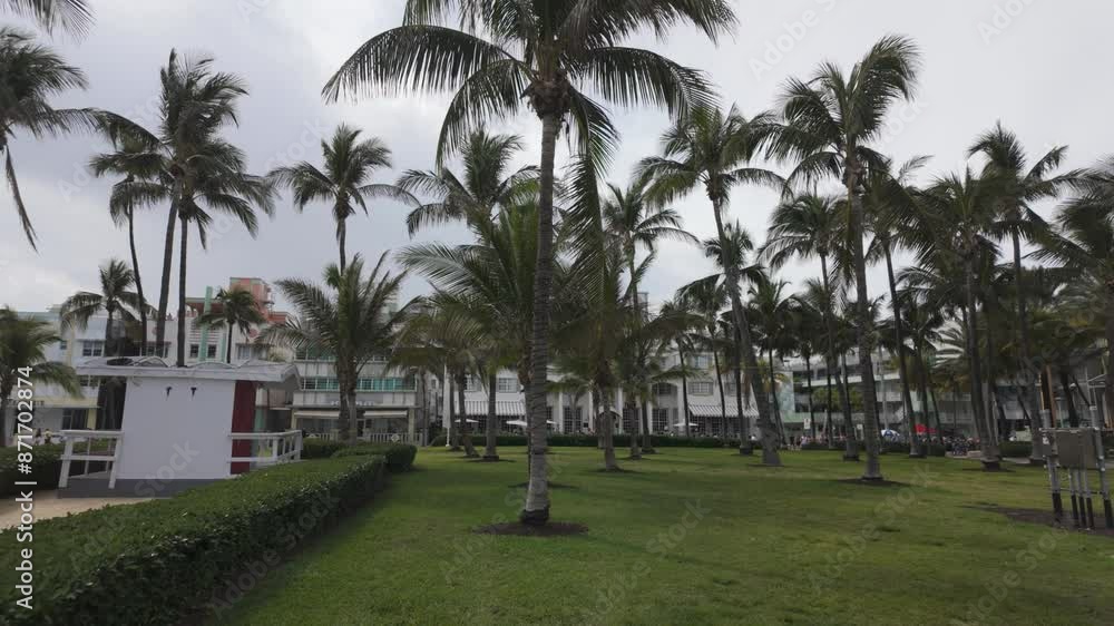 Pan shot along palm trees garden by Ocean Drive avenue on Cloudy day, Miami Beach, Florida Pan shot along palm trees garden by Ocean Drive avenue on Cloudy day, Miami Beach, Florida
