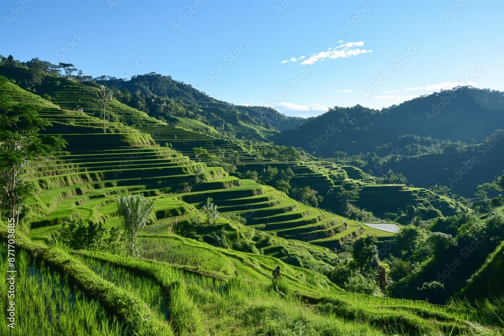 Fototapeta premium A lush green hillside with a view of the mountains. The hillside is covered in green grass and the sky is clear and blue