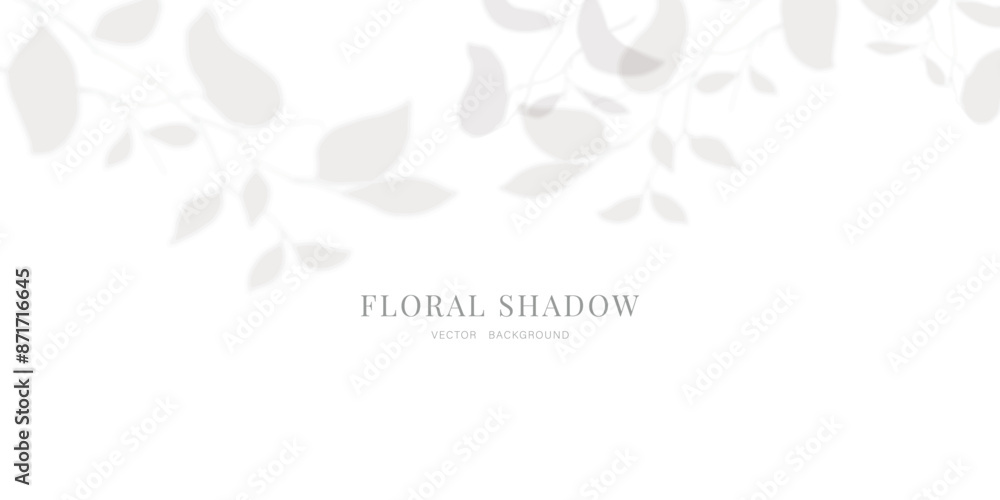 Obraz premium Flower and leaf Overlay effect. Gray shadow of leaves on a white wall.