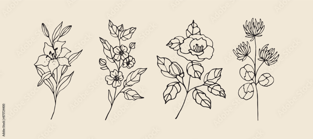 Hand drawn garden flowers set. Lily, dogwood, camellia, clover Hand drawn garden flowers set. Lily, dogwood, camellia, clover
