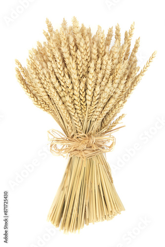 Fotografie Wheat bundle decorative sheath tied with raffia bow on white background