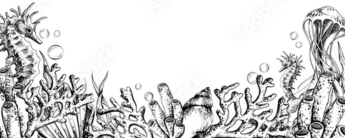 Seahorse and jellyfish with shells, corals, fish, algae and bubbles. Marine illustration of the underwater world hand drawn in black ink graphically. Vector banner horizontal template in EPS.
