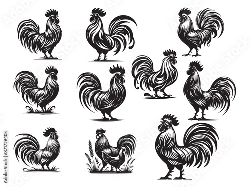 Rooster silhouette vector illustration style with white background
