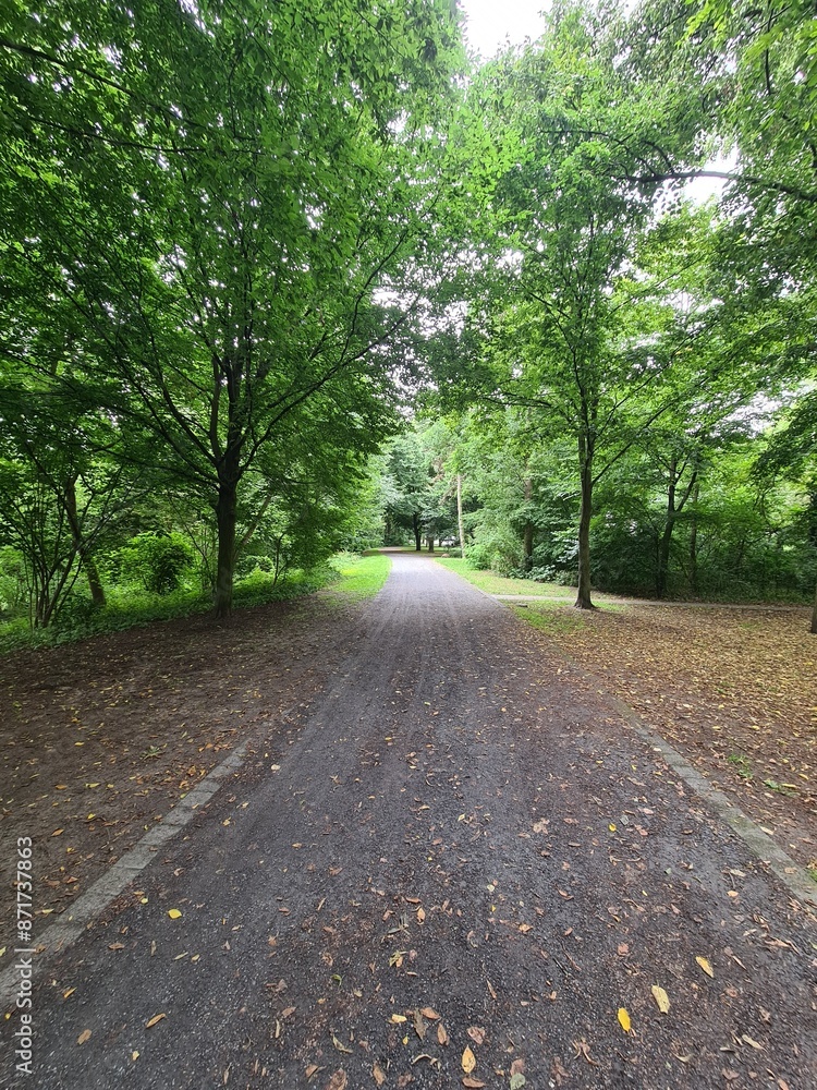 Naturpfad in Berlin Treptow / Köpenick