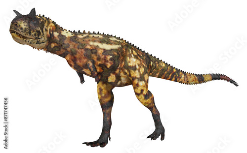 Dinosaurier Carnotaurus, Freisteller photo