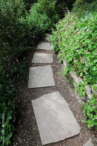 Stone garden pathway surrouned by greenery photo