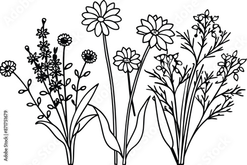 Wildflower bundle art illustration creating beautiful and stylish floral artwork