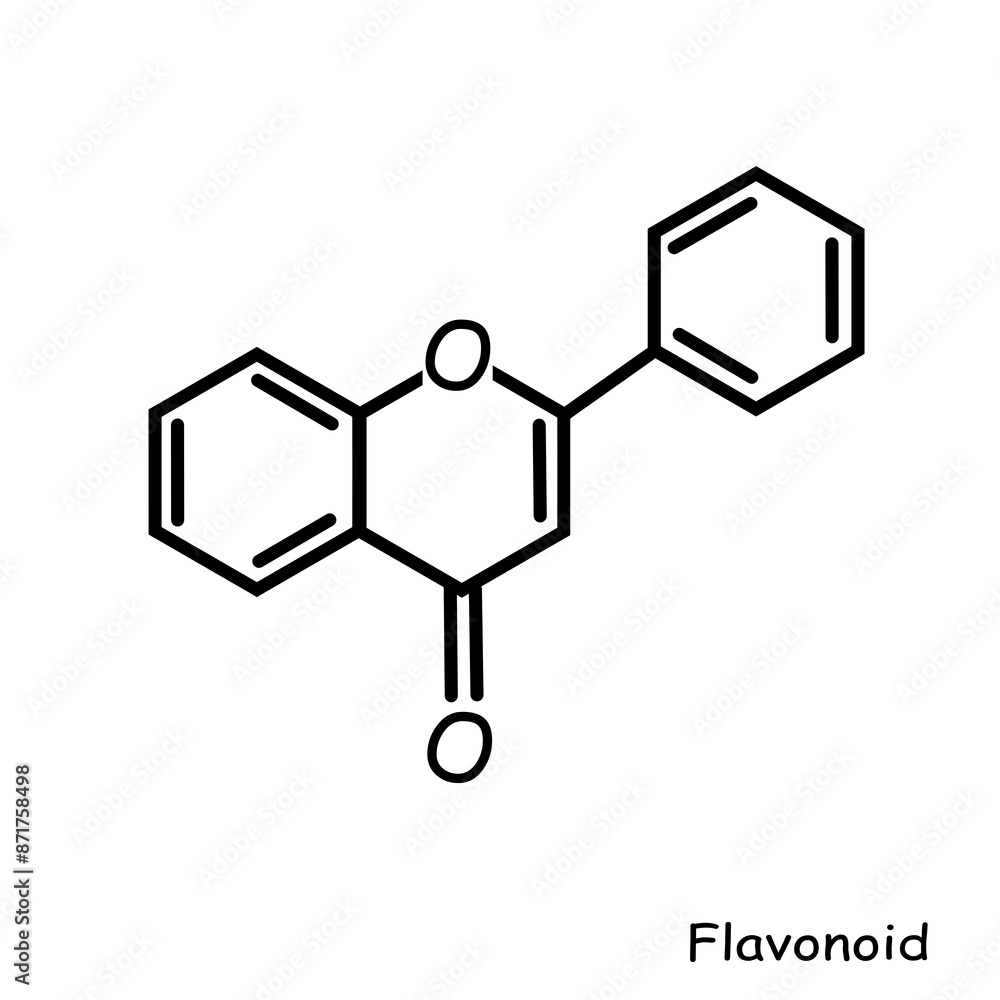 Fototapeta premium Chemical structure, compound : flavonoid