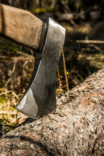 Axt in einem gefällten Baumstamm im Wald