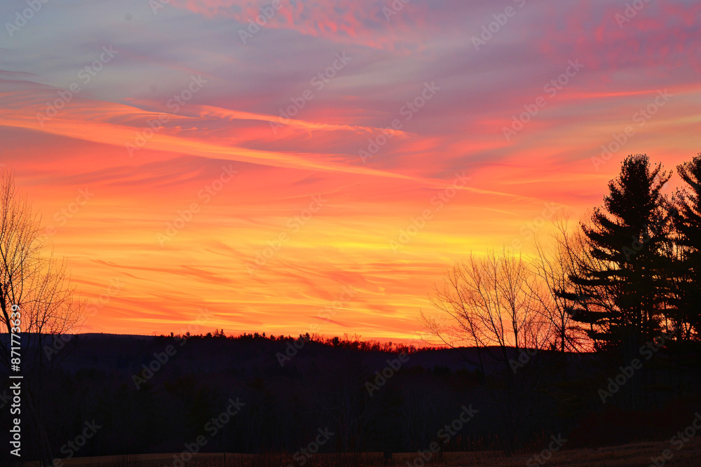 Fototapeta premium Sunset with vibrant colors over a field and silhouette of trees
